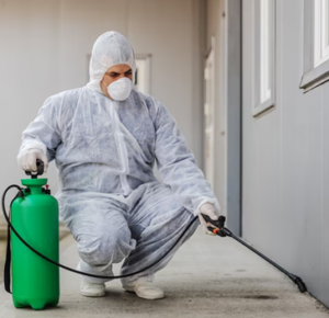 Registered NDIS Cleaning Services Sydney |NDIS Deep Cleaning, Regular ...