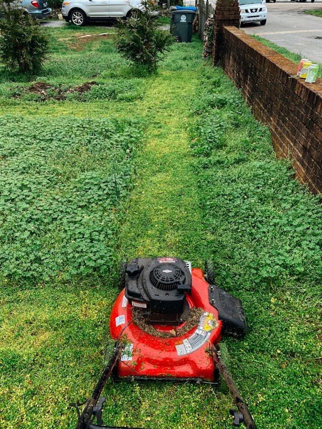 NDIS gardening services Sydney