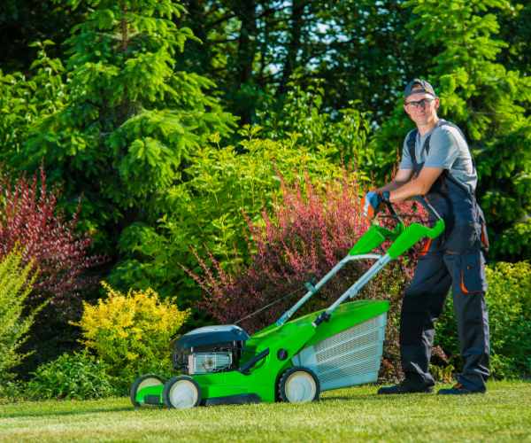 NDIS Lawn Mowing Service