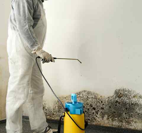 NDIS participants Mold Removal Services Sydney