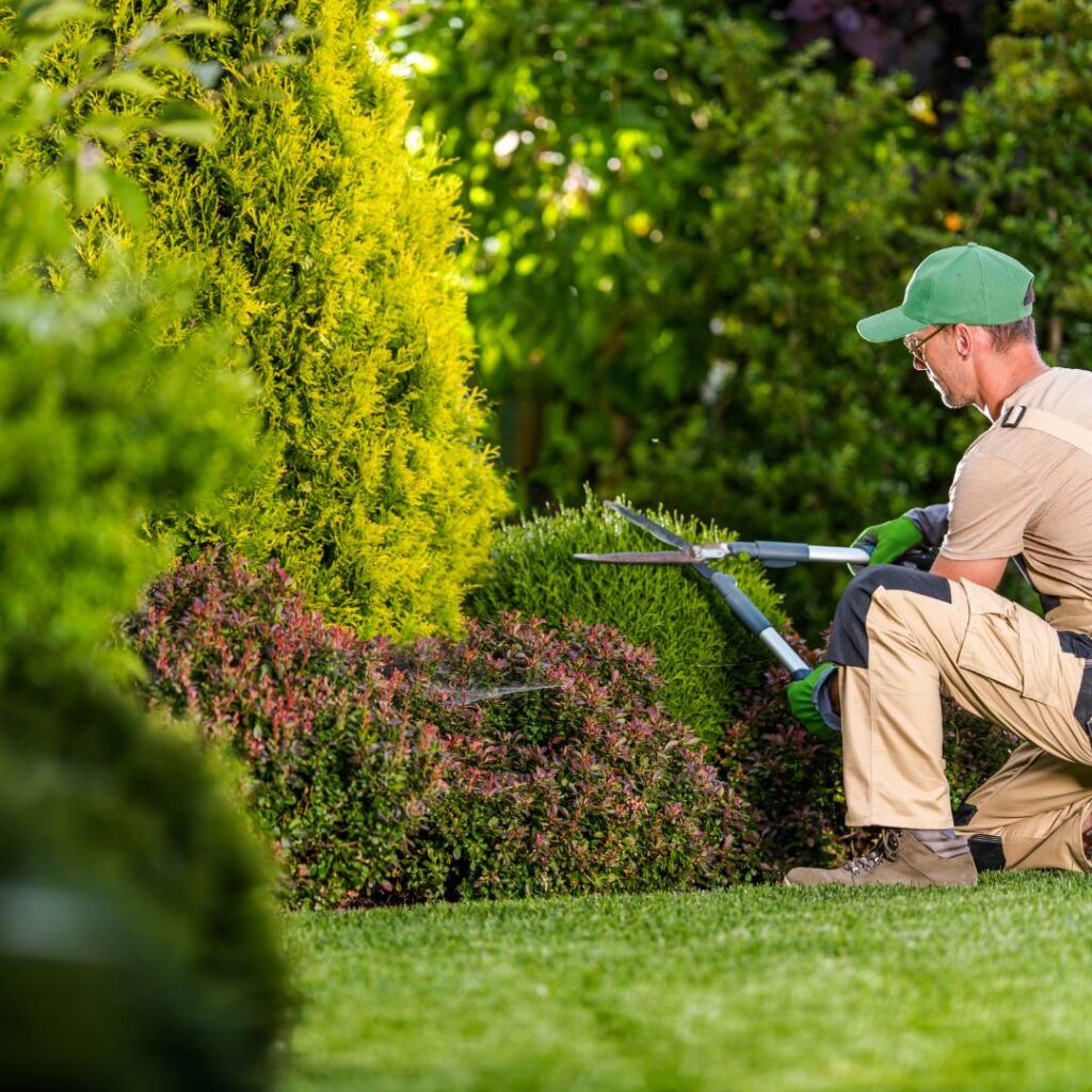 Your Trusted Garden Care Experts in Sydney